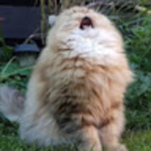 Meet your Posher, Michele